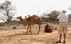 01 Gunter photographing camel